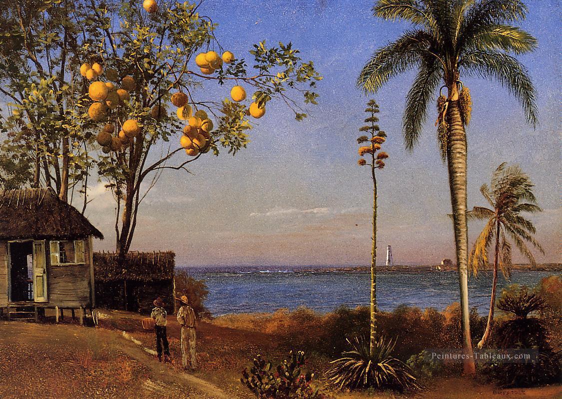 Une vue aux Bahamas Albert Bierstadt Peintures à l'huile
